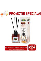 Reed Diffuser 120ml - Cinnamon & Clove 24x