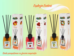 Pachet Promo 3x Odorizant de Camera cu betisoare Pure Life