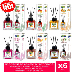 Pachet Promo - Odorizant De Camera Cu Betisoare (Pepene Verde, Mango&Pepene Verde, Pepene Galben, Magnolie, Pink Mango, Nuca De Cocos) 6buc